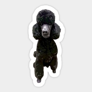 Poodle Gorgeous Style! Sticker